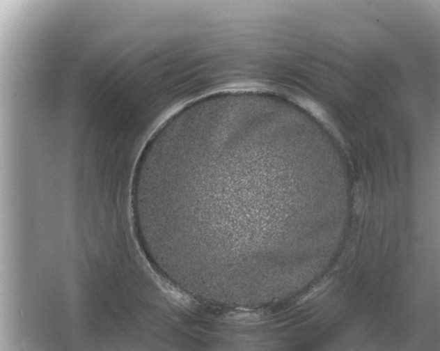 X0000067341229200604071343