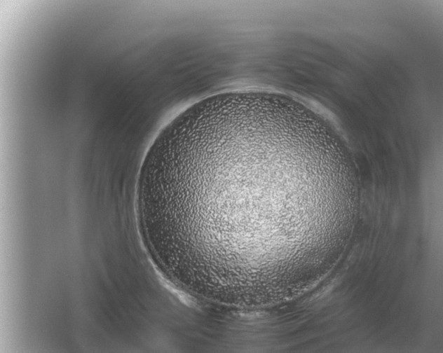 X0000067341231200604071343