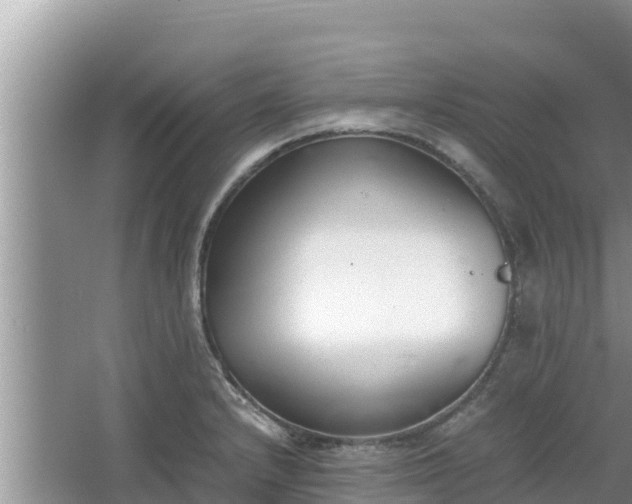 X0000067341232200604071343