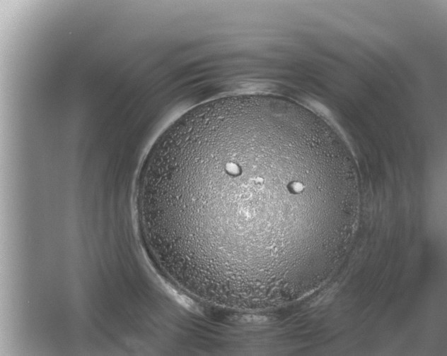 X0000067341235200604071343