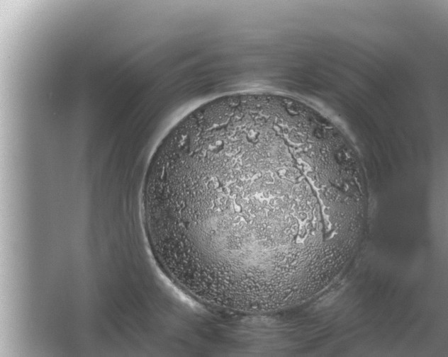 X0000067341239200604071343