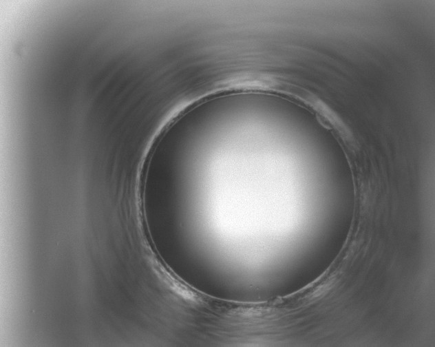 X0000067341240200604071343