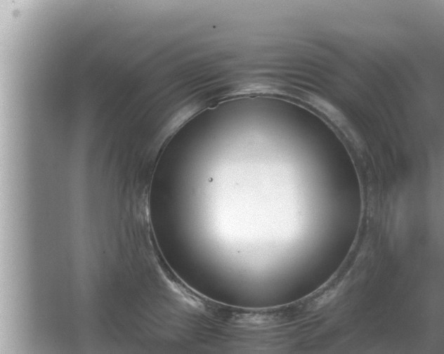 X0000067341241200604071343