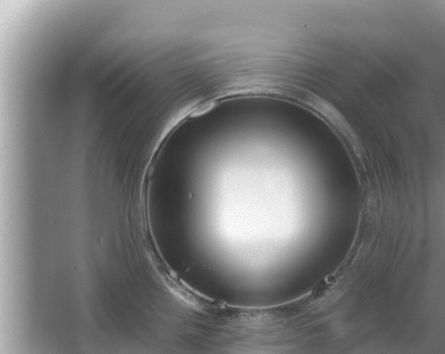 X0000067341242200604071343