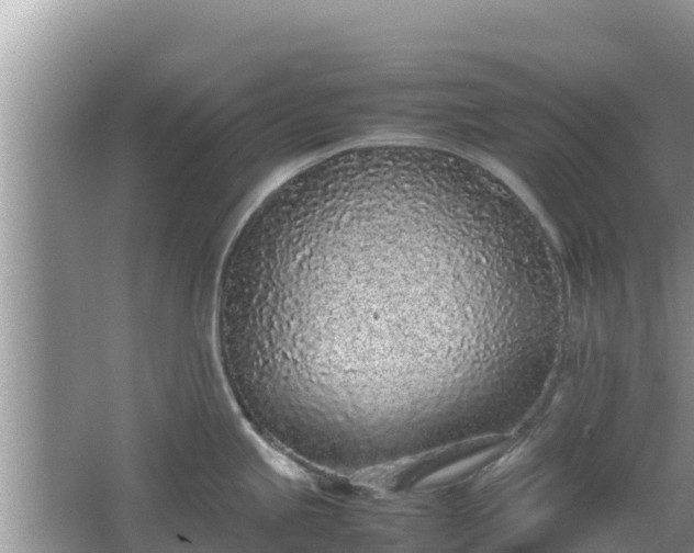 X0000067341245200604071343