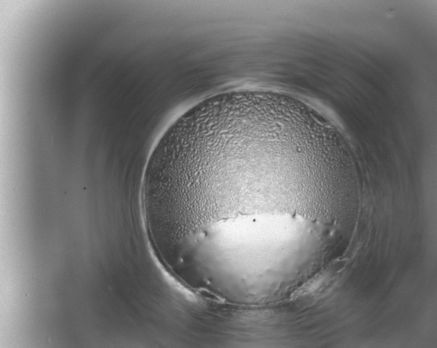 X0000067341247200604071343