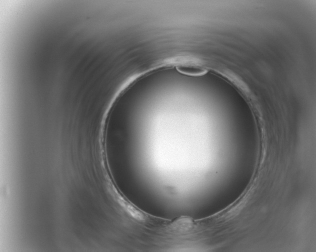 X0000067341248200604071343