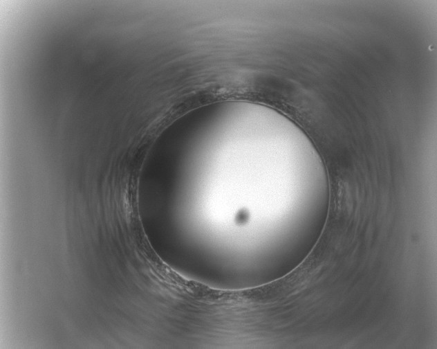 X0000067341250200604071342