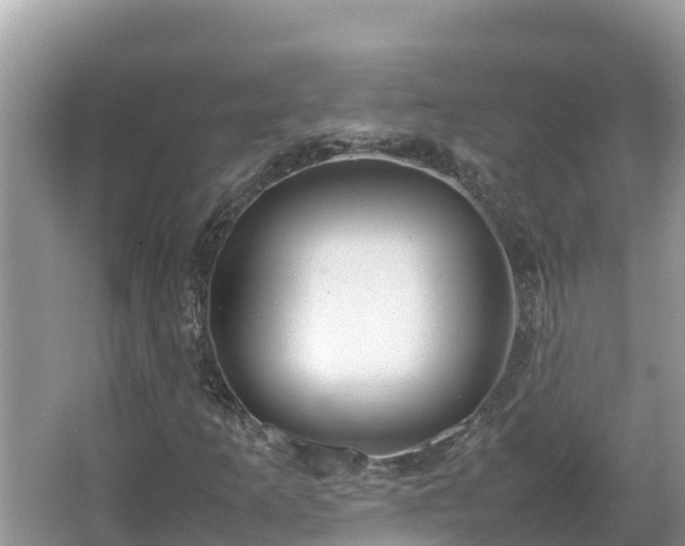 X0000067341253200604071342