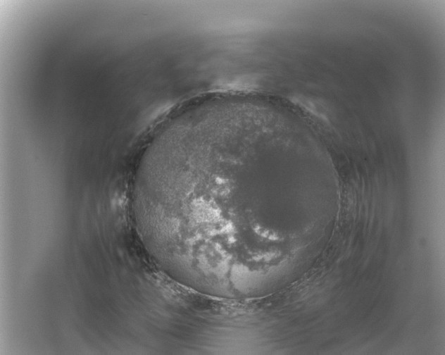 X0000067341254200604071342