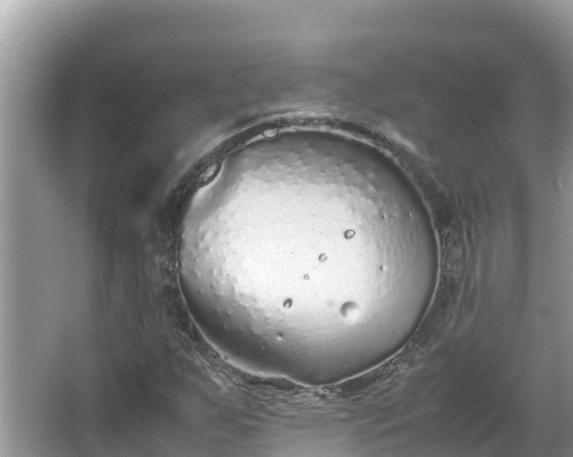 X0000067341255200604071342