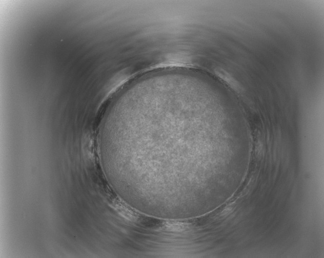 X0000067341258200604071342