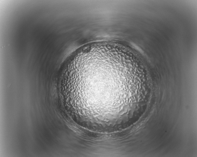 X0000067341259200604071342