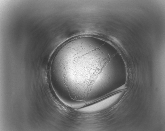 X0000067341260200604071342