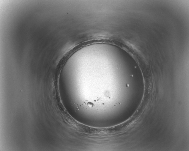 X0000067341261200604071342