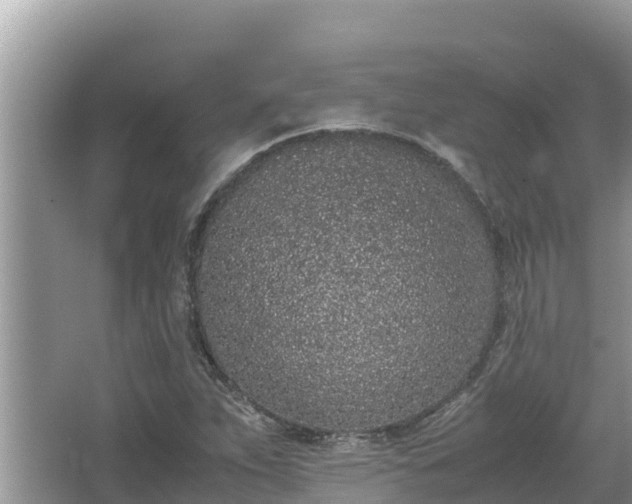 X0000067341263200604071342