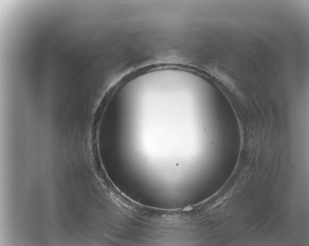 X0000067341264200604071342