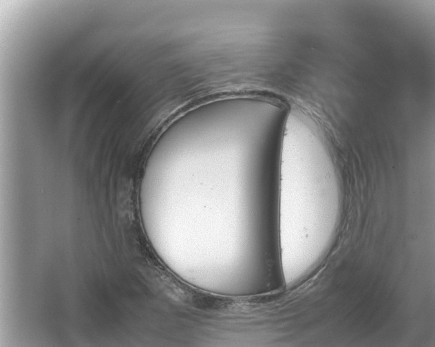 X0000067341265200604071342