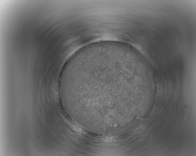 X0000067341266200604071342