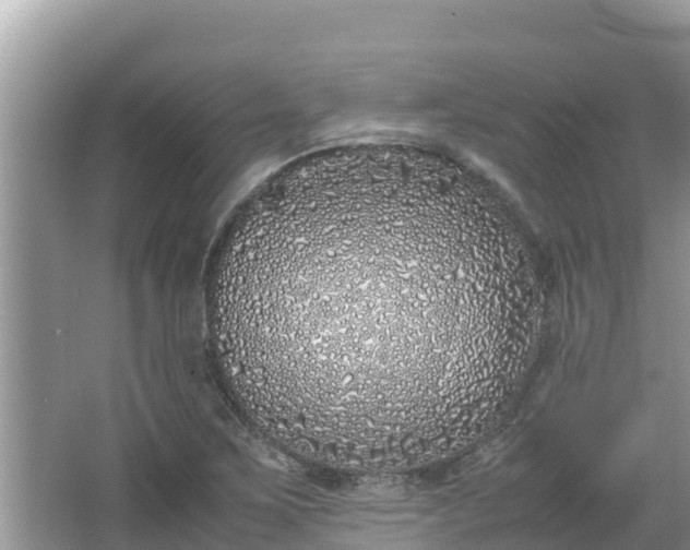 X0000067341267200604071342