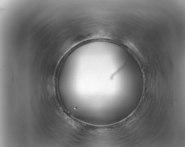 X0000067341268200604071342