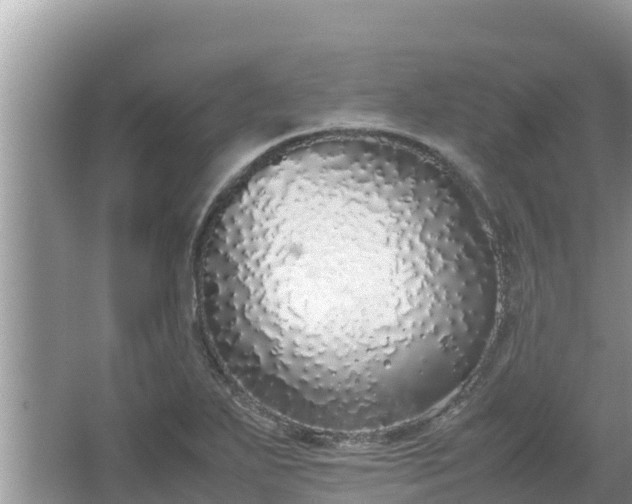 X0000067341271200604071342