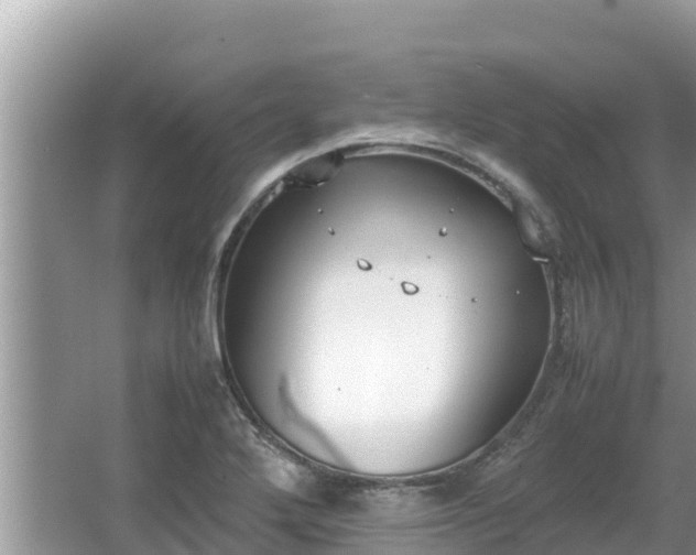 X0000067341272200604071342