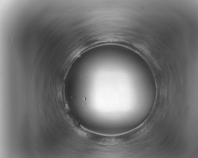 X0000067341273200604071342