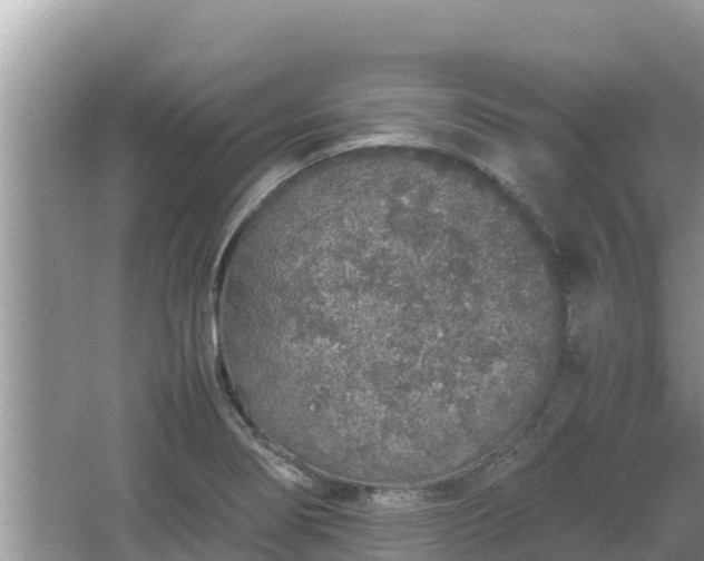 X0000067341274200604071342