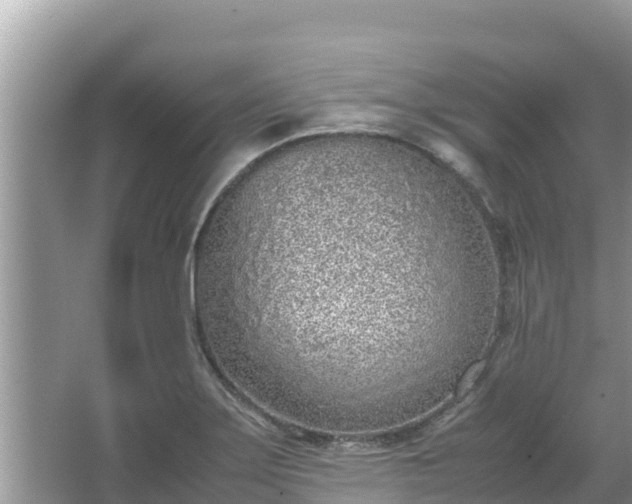 X0000067341275200604071342