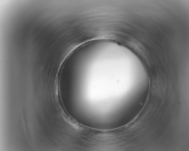 X0000067341276200604071342