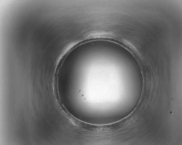 X0000067341277200604071342