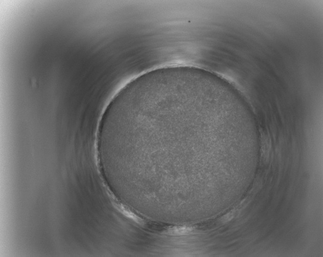 X0000067341278200604071342