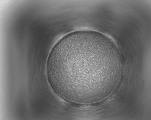 X0000067341279200604071342