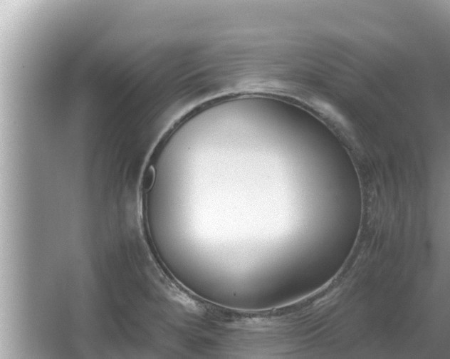 X0000067341280200604071342