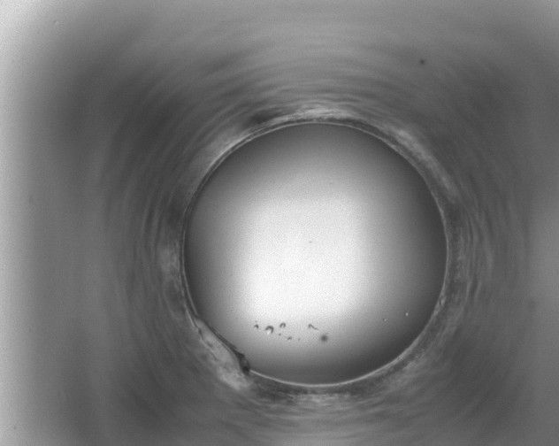 X0000067341281200604071342