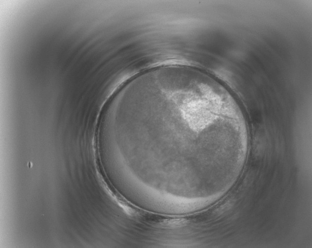 X0000067341282200604071342