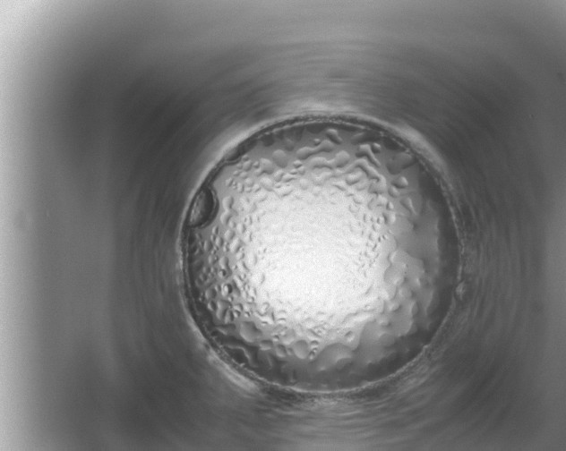 X0000067341287200604071341