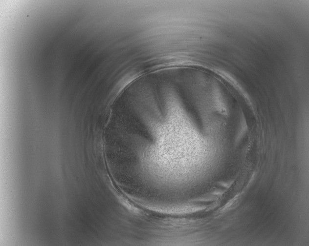 X0000067341289200604071341