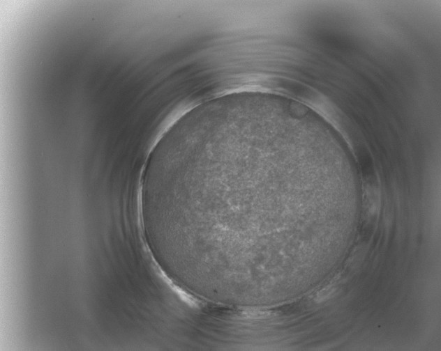 X0000067341290200604071341