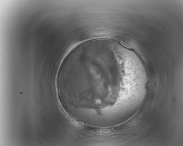 X0000067341291200604071341