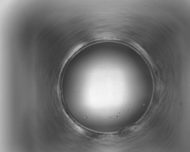 X0000067341293200604071341