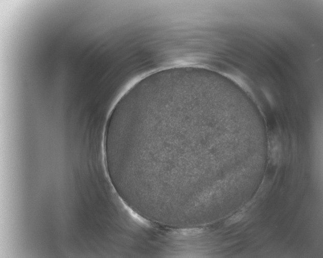 X0000067341294200604071341