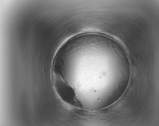 X0000067341295200604071341