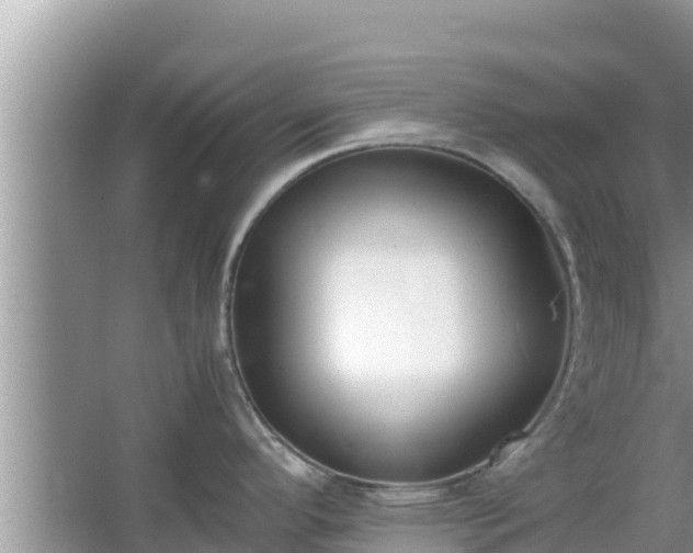 X0000067341296200604071341