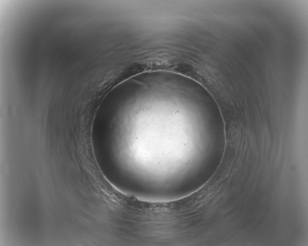 X0000067341297200604071340