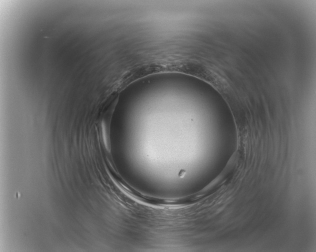 X0000067341298200604071340