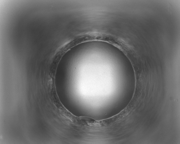 X0000067341302200604071341