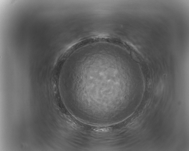 X0000067341303200604071341