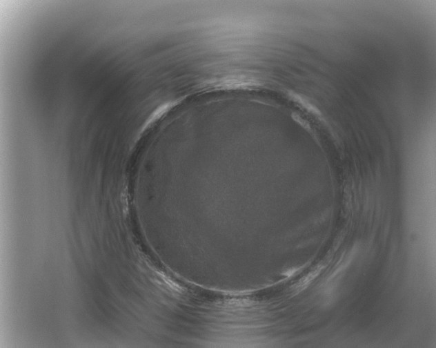 X0000067341306200604071341